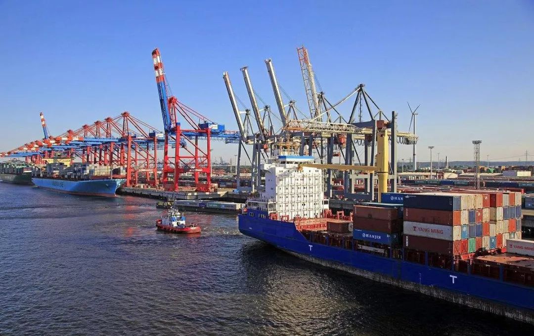 集装箱国际海运提单类型放货方式
